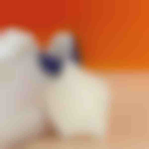 Fersenpolster zur Linderung von Fersenschmerzen | STEPHEEL |